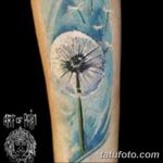 Фото пример рисунка тату одуванчик от 02.10.2018 №271 - dandelion tattoo - tatufoto.com