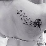 Фото пример рисунка тату одуванчик от 02.10.2018 №281 - dandelion tattoo - tatufoto.com