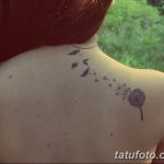 Фото пример рисунка тату одуванчик от 02.10.2018 №282 - dandelion tattoo - tatufoto.com