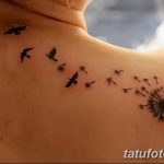 Фото пример рисунка тату одуванчик от 02.10.2018 №285 - dandelion tattoo - tatufoto.com