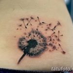 Фото пример рисунка тату одуванчик от 02.10.2018 №288 - dandelion tattoo - tatufoto.com