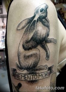 Фото тату с изображением зайца и надписи 'Memento Mori'. Необычный и символичный рисунок татуировки, сочетающий в себе миловидность и напоминание о бренности жизни.