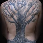 Фото рисунка тату дерево дуб 20.10.2018 №002 - tattoo tree oak drawing - tatufoto.com