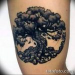 Фото рисунка тату дерево дуб 20.10.2018 №010 - tattoo tree oak drawing - tatufoto.com