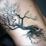 Фото рисунка тату дерево дуб 20.10.2018 №012 - tattoo tree oak drawing - tatufoto.com