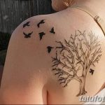 Фото тату дерева с летящими птицами на плече, выполненное в черно-белом стиле. Рисунок татуировки с минималистичными деталями и воздушной композицией.