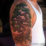 Фото рисунка тату дерево дуб 20.10.2018 №055 - tattoo tree oak drawing - tatufoto.com
