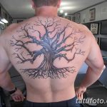 Фото рисунка тату дерево дуб 20.10.2018 №067 - tattoo tree oak drawing - tatufoto.com
