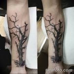 Фото рисунка тату дерево дуб 20.10.2018 №068 - tattoo tree oak drawing - tatufoto.com
