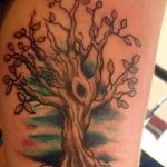 Фото рисунка тату дерево дуб 20.10.2018 №069 - tattoo tree oak drawing - tatufoto.com