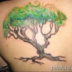 Фото рисунка тату дерево дуб 20.10.2018 №070 - tattoo tree oak drawing - tatufoto.com