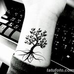 Фото рисунка тату дерево дуб 20.10.2018 №074 - tattoo tree oak drawing - tatufoto.com