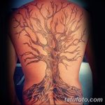 Фото рисунка тату дерево дуб 20.10.2018 №079 - tattoo tree oak drawing - tatufoto.com