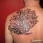 Фото рисунка тату дерево дуб 20.10.2018 №082 - tattoo tree oak drawing - tatufoto.com