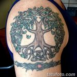 Фото рисунка тату дерево дуб 20.10.2018 №088 - tattoo tree oak drawing - tatufoto.com