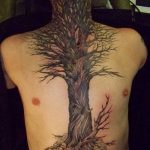 Фото рисунка тату дерево дуб 20.10.2018 №090 - tattoo tree oak drawing - tatufoto.com
