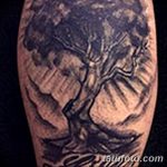 Фото рисунка тату дерево дуб 20.10.2018 №091 - tattoo tree oak drawing - tatufoto.com