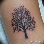 Фото рисунка тату дерево дуб 20.10.2018 №101 - tattoo tree oak drawing - tatufoto.com