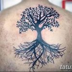 Фото тату на спине: черное дерево с раскидистыми ветвями и корнями, выполненное в минималистичном графическом стиле.