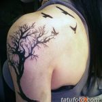 Фото рисунка тату дерево дуб 20.10.2018 №117 - tattoo tree oak drawing - tatufoto.com