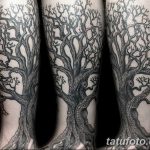 Фото рисунка тату дерево дуб 20.10.2018 №130 - tattoo tree oak drawing - tatufoto.com
