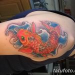 Фото рисунка тату карась 19.10.2018 №024 - tattoo carp drawing - tatufoto.com