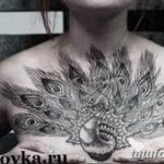 Фото рисунка тату этника 09.10.2018 №121 - ethnic tattoo - tatufoto.com