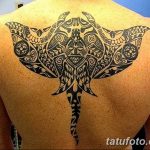 Фото рисунка тату этника 09.10.2018 №173 - ethnic tattoo - tatufoto.com