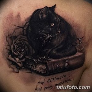 Детализированная татуировка на груди: черный кот, сидящий на старинной книге, рядом с розой и шипами. Идеи для реалистичных и мистических тату.