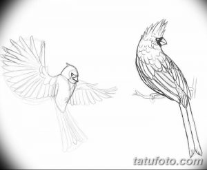Черно-белый эскиз татуировки с двумя кардиналами: один в полете с расправленными крыльями, другой сидит на ветке. Детализированный рисунок для вдохновения.
