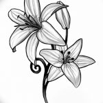 Фото современные эскизы тату девушек 22.10.2018 №349 - sketches tattoo - tatufoto.com