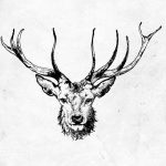 Фото современные эскизы тату девушек 22.10.2018 №357 - sketches tattoo - tatufoto.com