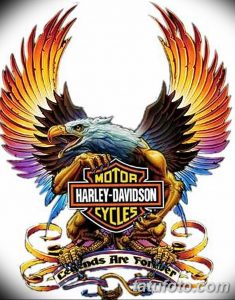 Фото тату: реалистичный орел с распахнутыми крыльями и логотипом Harley-Davidson на груди, выполненное в ярких цветах.