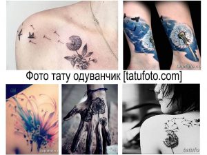Фото коллажа татуировок с изображением одуванчиков, птиц и минималистичных узоров. Разнообразие стилей и цветовых решений.
