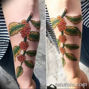 Фото тату: реалистичное изображение кофейных зерен и листьев на женском предплечье, выполненное в ярких теплых тонах.