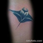 Фото тату скат манта 24.10.2018 №010 - tattoo manta photo - tatufoto.com