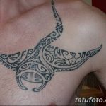 Фото тату скат манта 24.10.2018 №047 - tattoo manta photo - tatufoto.com