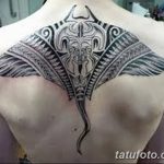 Фото тату скат манта 24.10.2018 №051 - tattoo manta photo - tatufoto.com
