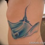 Фото тату скат манта 24.10.2018 №088 - tattoo manta photo - tatufoto.com