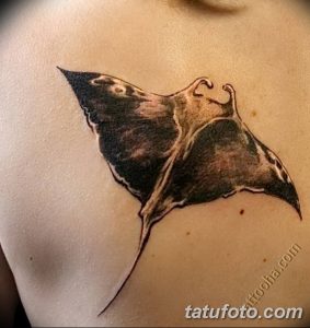 Фото тату ската в стиле реализм на плече. Черно-белый рисунок с детальной проработкой плавников и текстуры кожи.