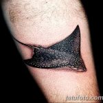 Фото тату скат манта 24.10.2018 №144 - tattoo manta photo - tatufoto.com