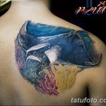Фото тату скат манта 24.10.2018 №148 - tattoo manta photo - tatufoto.com
