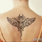 Фото тату скат манта 24.10.2018 №151 - tattoo manta photo - tatufoto.com