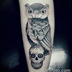 Фото тату сова с черепом 15.10.2018 №004 - owl tattoo with skull - tatufoto.com