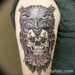 Фото тату сова с черепом 15.10.2018 №006 - owl tattoo with skull - tatufoto.com