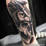 Фото тату сова с черепом 15.10.2018 №016 - owl tattoo with skull - tatufoto.com