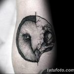 Фото тату сова с черепом 15.10.2018 №018 - owl tattoo with skull - tatufoto.com