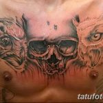 Фото тату сова с черепом 15.10.2018 №019 - owl tattoo with skull - tatufoto.com