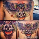 Фото тату сова с черепом 15.10.2018 №024 - owl tattoo with skull - tatufoto.com