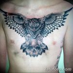 Фото тату сова с черепом 15.10.2018 №025 - owl tattoo with skull - tatufoto.com